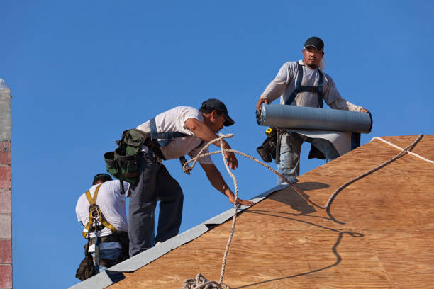 Roof Gutter Cleaning in Moss Bluff, LA