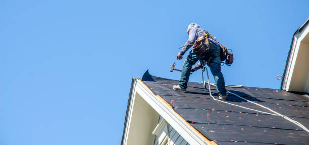 Best Gutter Installation and Roofing  in Moss Bluff, LA